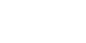 Beegol logo, white type, TRANS